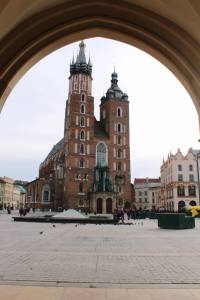 52369227_2610842945597602_5675657375944540160_n